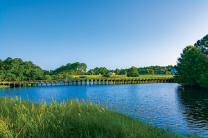 Sea Trail Plantation Golf Course