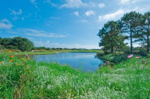 Thistle Golf Course