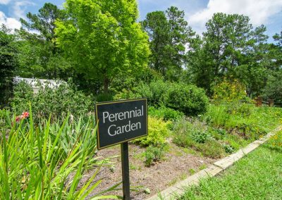 Plantation Gardens