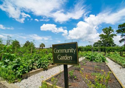 Ocean Ridge Plantation Community Gardens