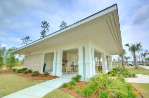 Palmetto Creek