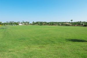 Compass Pointe