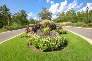Compass Pointe