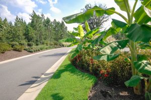 Compass Pointe