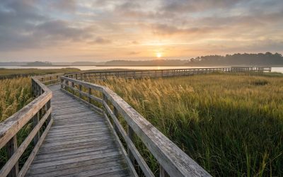 Beyond the Shore: The Diverse Coastal Lifestyles of Brunswick County